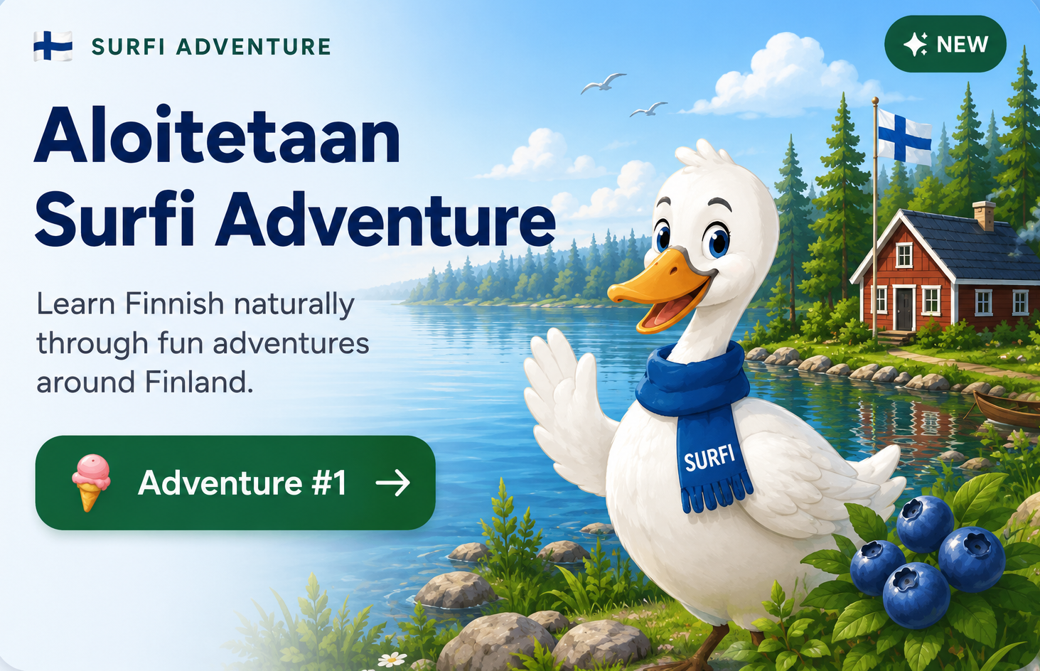 Surfi Adventure